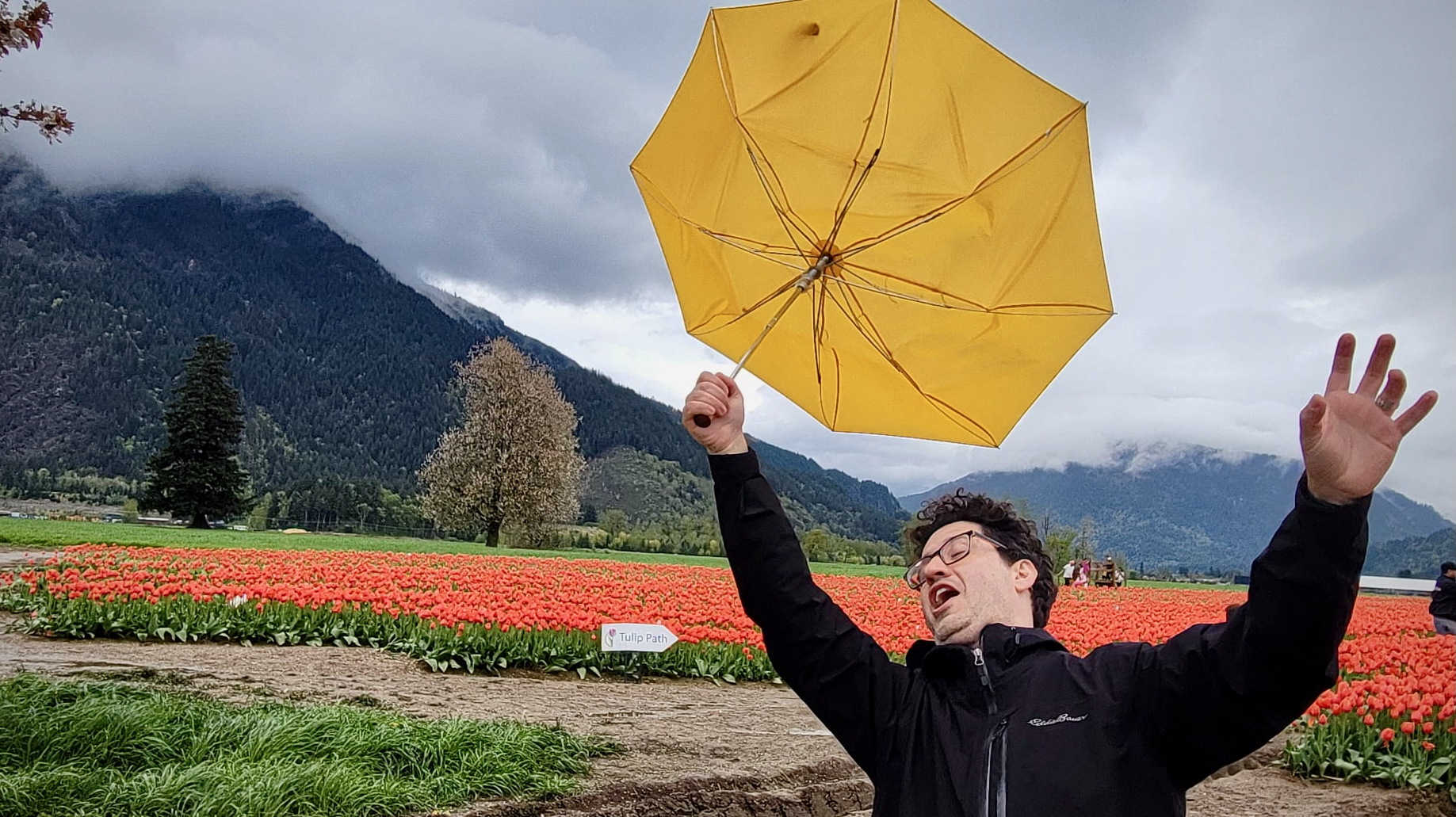 d2108bfe-9051-4d6a-910c-2a4e848530d3